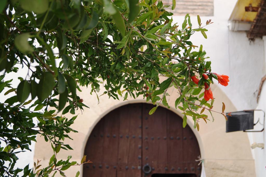 Séjour à la campagne Casa De La Placeta Del Rincon